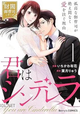 [いちかわ有花×葉月りゅう] 君はシンデレラ～孤高な御曹司が絶え間なく愛を注ぐ理由～ 第01-03巻