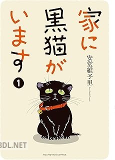 [安堂維子里] 家に黒猫がいます 第01巻