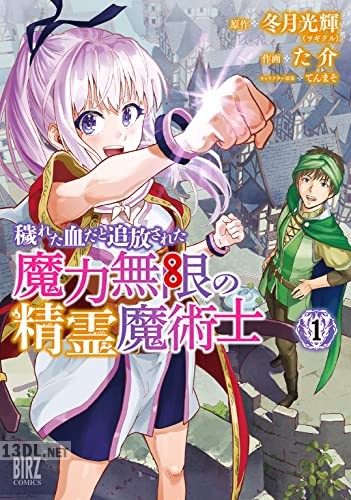 [冬月光輝×た介] 穢れた血だと追放された魔力無限の精霊魔術士 全05巻