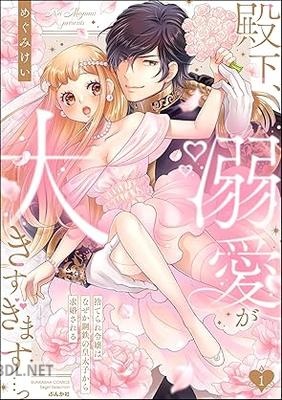 [めぐみけい] 殿下、溺愛が大きすぎます…っ 捨てられ令嬢はなぜか鋼鉄の皇太子から求婚される 第01-04巻