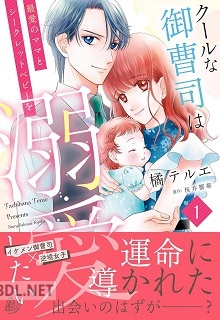 [橘テルエ×桜井響華] クールな御曹司は最愛のママとシークレットベビーを溺愛したい 全02巻
