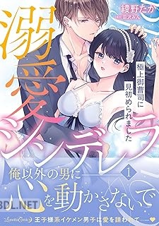 [綾野たか×田沢みん] 溺愛シンデレラ 極上御曹司に見初められました 第01巻