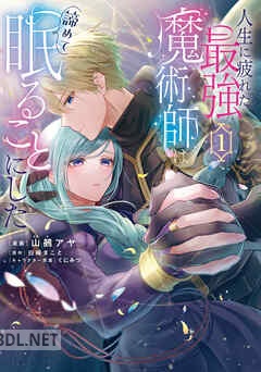 [山鵺アヤ×白崎まこと] 人生に疲れた最強魔術師は諦めて眠ることにした 全03巻