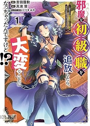 [吉田屋敷×真波潜] 邪魔な初級職を追放したら、大変なことになっちゃったんですけど！？ 全02巻