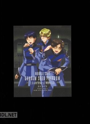 機動戦士ガンダムSEED FREEDOM Blu-ray Mighty the side story novels