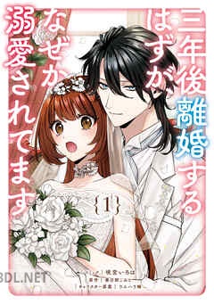 [咲宮いろは×春日部こみと] 三年後離婚するはずが、なぜか溺愛されてます 全02巻