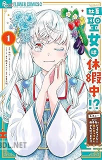[氷川一歩×生倉大福] 社畜聖女は休暇中！？ 第01-02巻