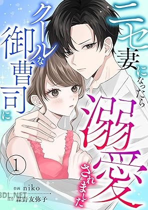 [森野友弥子×niko] ニセ妻になったらクールな御曹司に溺愛されました【合本版】 全02巻