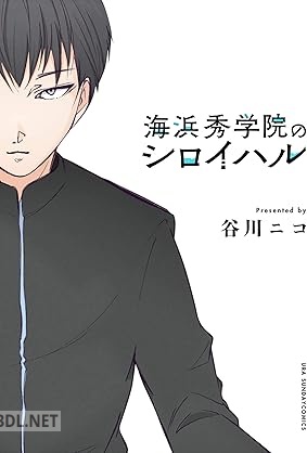 [谷川ニコ] 海浜秀学院のシロイハル
