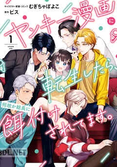 [むぎちゃぽよこ×ビス] ヤンキー漫画に転生したら、何故か総長に餌付けされてます。 全03巻