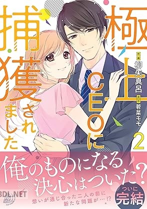 [柳矢真呂] 極上CEOに捕獲されました 全02巻