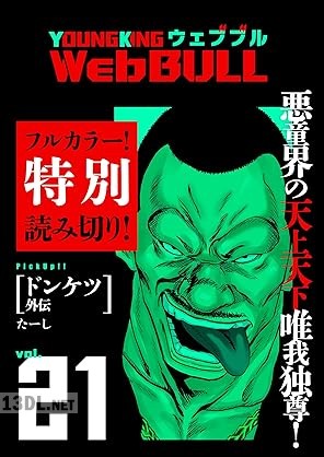 Web BULL 25号