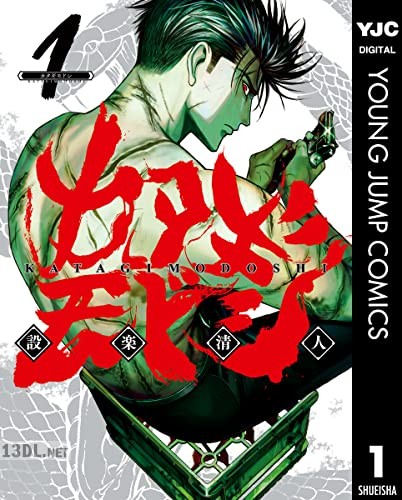 [設楽清人] カタギモドシ 全05巻