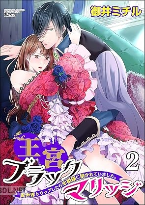 [御井ミチル] 王宮ブラックマリッジ 異世界トリップしたら宰相様に抱かれていました。 第01-02巻