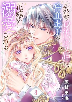 [広枝出海] 元奴隷の身代わり姫は､冷血王子の花嫁になって溺愛される 第01-03巻