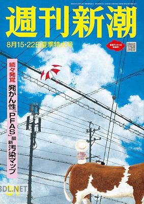 週刊新潮 2024年8月15・22日合併号