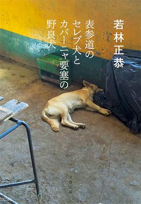 [若林正恭] 表参道のセレブ犬とカバーニャ要塞の野良犬