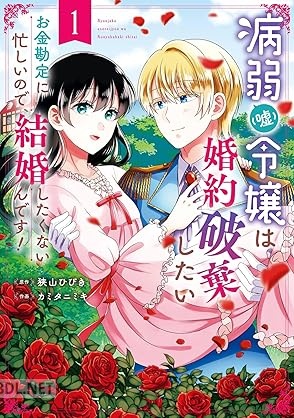 [狭山ひびき×カミタニミキ] 病弱（嘘）令嬢は婚約破棄したい～お金勘定に忙しいので、結婚したくないんです！～ 第01巻