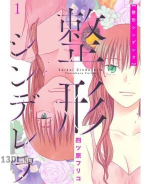 [四ツ原フリコ] 整形シンデレラ 全07巻