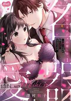 [澤村鞠子] 名器なカノジョの愛し方。 ～弁護士上司が私に本気になるそうです～ 第01-04巻