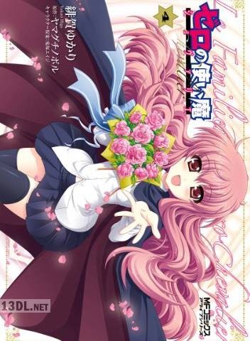 [ヤマグチノボル×緋賀ゆかり] ゼロの使い魔 シュヴァリエ 全04巻