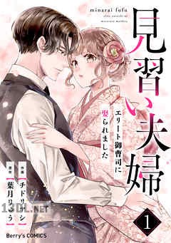 [チドリアシ×葉月りゅう] 見習い夫婦～エリート御曹司に娶られました～ 全04巻