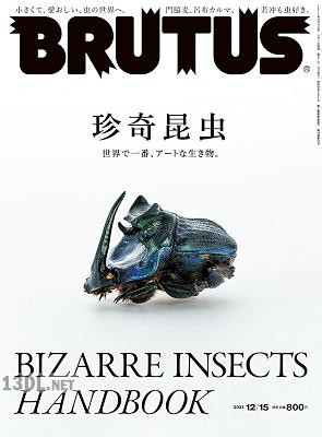 BRUTUS (ブルータス) 2017-2021年