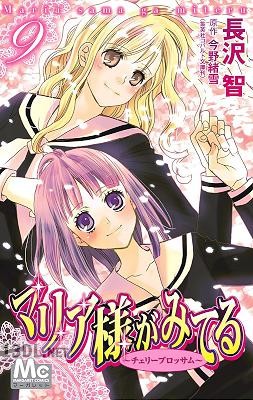 [長沢智×今野緒雪] マリア様がみてる 全09巻