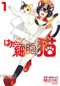 [清水茜×かいれめく×蒼空チョコ] はたらく細胞 猫 第01-04巻
