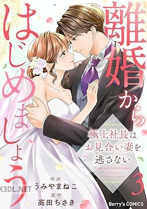 [うみやまねこ×高田ちさき] 離婚からはじめましょうー極上社長はお見合い妻を逃さないー 全03巻