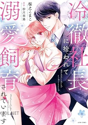 [桜之こまこ×砂川雨路] 冷徹社長に拾われて溺愛飼育されています 全02巻