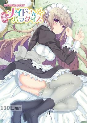 MOEOHセレクション 画集 メイドさん☆パラダイス