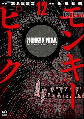 [志名坂高次×粂田晃宏] モンキーピーク 全12巻