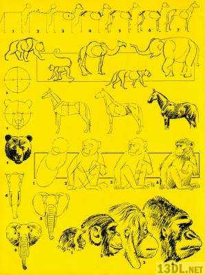 [島田照代] 動物の描き方 (1977-10)