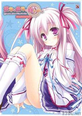 世界と世界の真ん中で ビジュアルファンブック