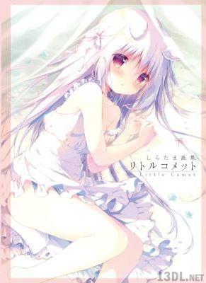 (画集) しらたま画集 リトルコメット