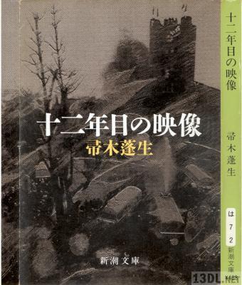 [帚木蓬生] 十二年目の映像