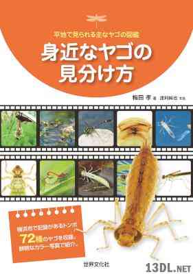 [梅田孝] 身近なヤゴの見分け方 平地で見られる主なヤゴの図鑑