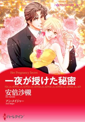 [アン・メイジャー×安部沙槻] 一夜が授けた秘密