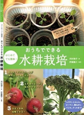 [川村鞠子×伊藤龍三] おうちでできる水耕栽培