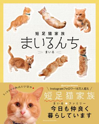 [まいる] 短足猫家族 まいるんち