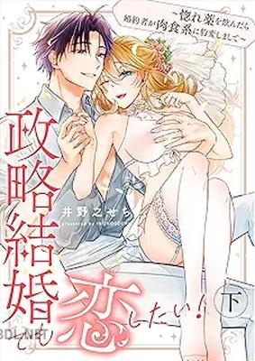 [井野之せち] 政略結婚でも恋したい！～惚れ薬を飲んだら婚約者が肉食系に豹変しまして～ 全02巻