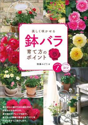 美しく咲かせる 鉢バラ 育て方のポイント