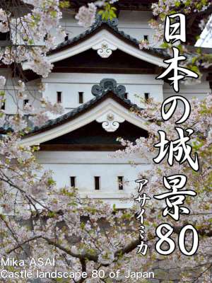 日本の城景80 SlowPhoto