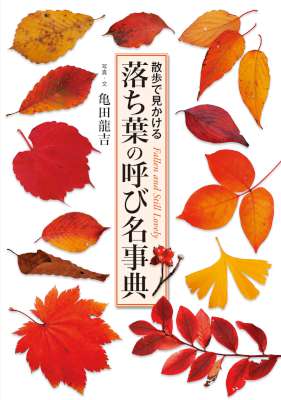 [亀田龍吉] 落ち葉の呼び名事典　散歩で見かける
