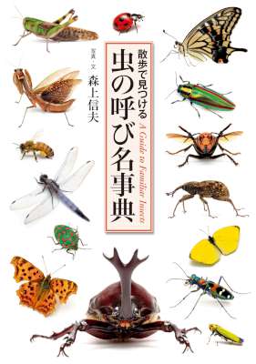 [森上信夫] 虫の呼び名事典　散歩で見つける