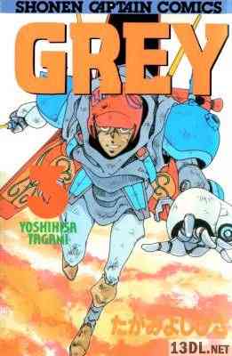 [たがみよしひさ] GREY -グレイ- 全03巻