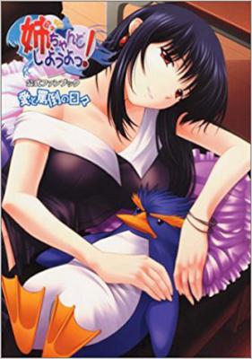 姉、ちゃんとしようよっ! 公式ファンブック 愛と罵倒の日々