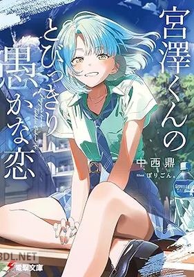 [中西鼎] 宮澤くんのとびっきり愚かな恋 宮澤くんの愚かな恋