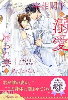 [マチバリ] 宰相閣下の溺愛に雇われ妻は気づかない 全06巻